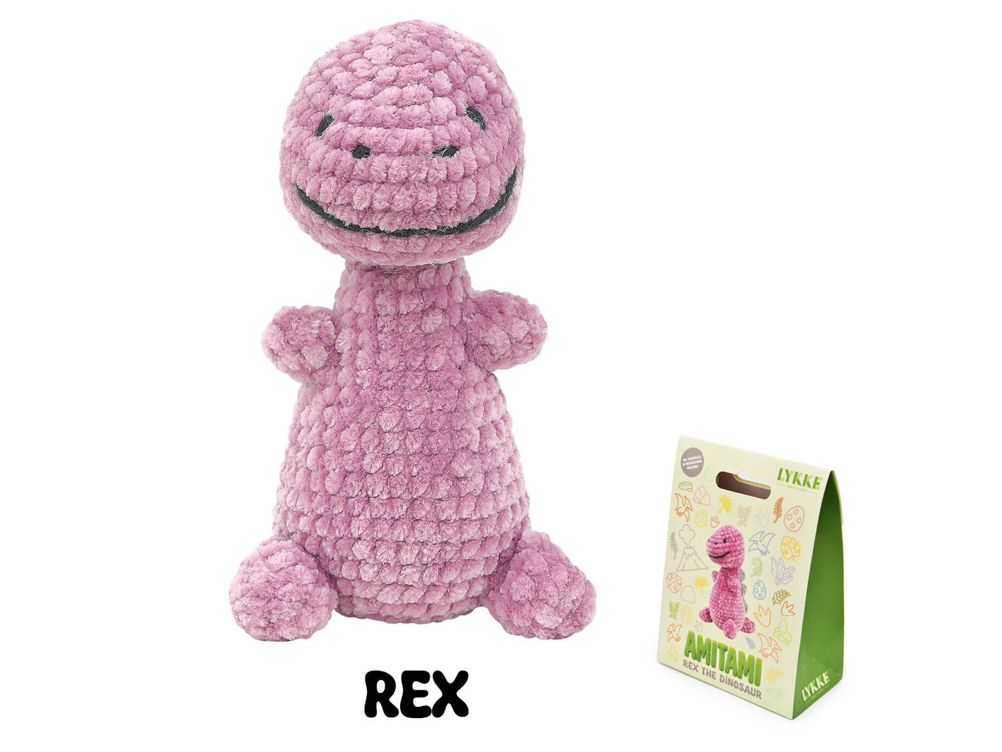 Rex the Dinosaur Amitami Kit