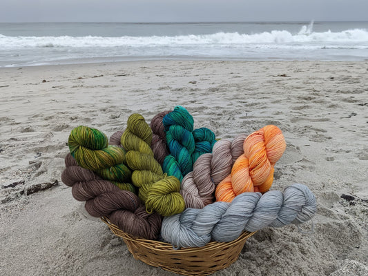 Monterey Bay Coastline Collection